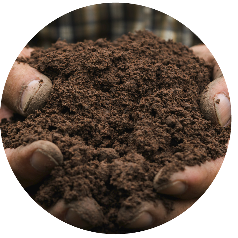 Nitrogen is a critical component of plant, animal, and soil health.